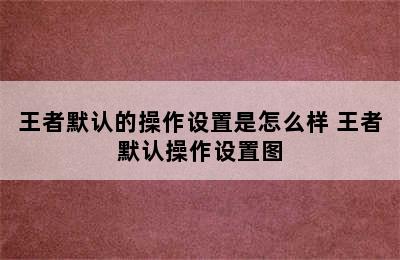 王者默认的操作设置是怎么样 王者默认操作设置图